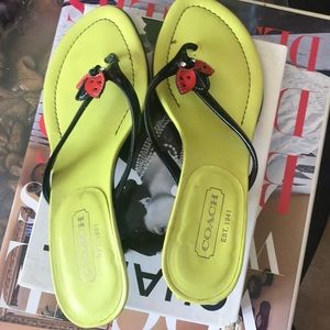 Beautiful Coach 👡!